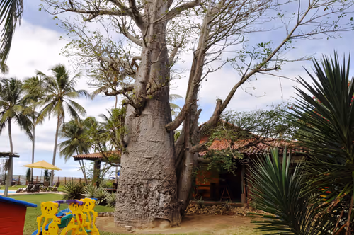 Item #79891436161549541429884862344900251113171213125295126698961100635068591767553 Media