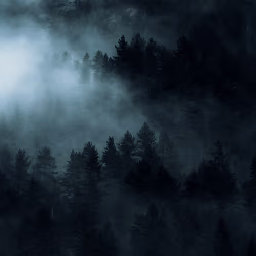 #46 — Black Woods