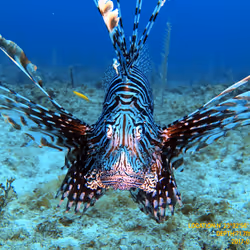 80965803268169370603932631570667161375508893671094224909166964210675319046145