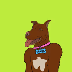 56207060566857878026370727863859684632746074952532842293882533435530102702081