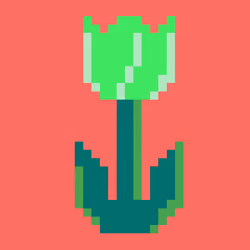CryptoTulips #023