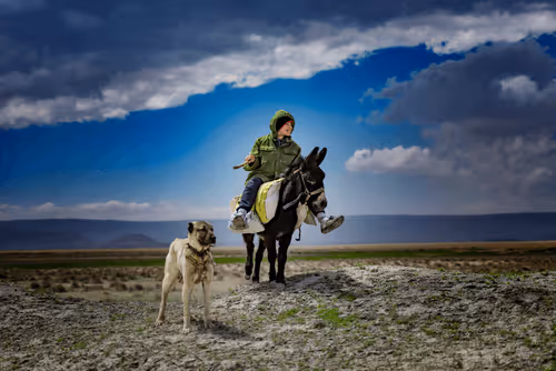 Item #103012301657456598627464593711191492996341926608798375780323323131810665201665 Media