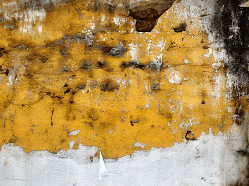 Item #77837778009088564188174628045169397065653229955612462896383264979121659183105 Media