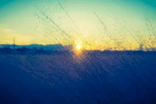 Item #87724672545568216492349628543176573267958151988335217142690977318018389901313 Media