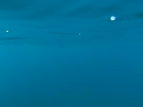 Item #103087198430561753454900673118871202122609283393190646657699230292791561027585 Media