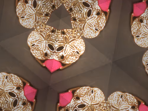 Item #69376820955182207634374405090115864776049539168882178084902512091123538722817 Media