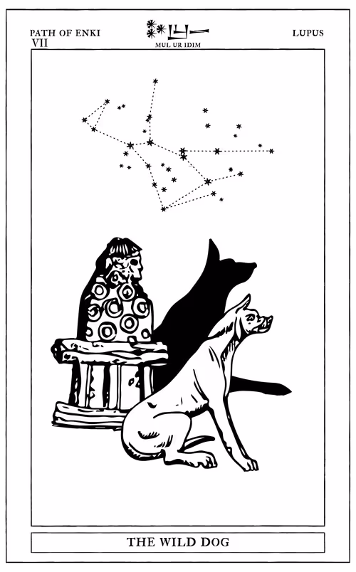 Item #72428202001668189821112342847260883540127111684781981942259052886035642974209 Media