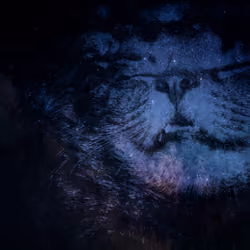 The Sleeper