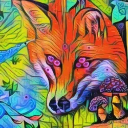 Psy Art #56