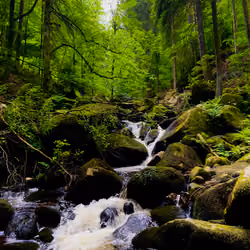Triberger Waterfalls