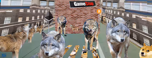 Item #69046647551876631812407603757465421868469504969916764237364829554688330301441 Media