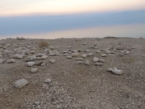 Untitled Collection #26088780