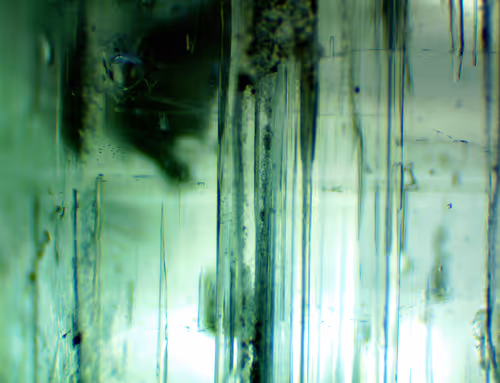 Item #71646257518770613568983710813551014237803002136866425209291834806947331178497 Media