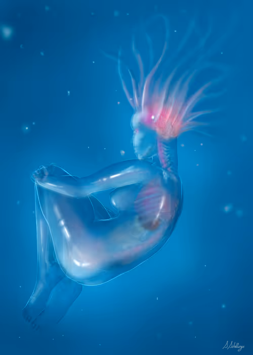 Item #40235555401108715323732274623493437942744827487593458502232148741419985534977 Media