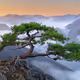 113381510327824522923686143165170219444766538280805760818675276603001095061505