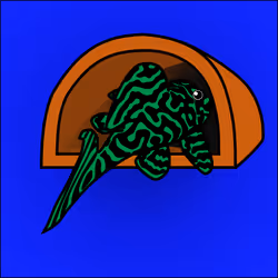 81664083123670143983968740139941474364733981378414170565535213232173646610433