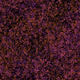 944858660688572096584618472555991747686703840338442188877309831457942798337