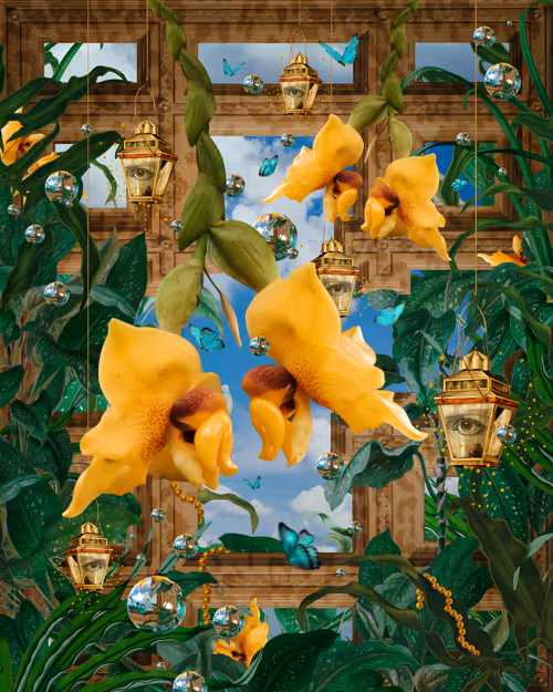 Item #52157283746525259542450048435420026544825586665161748575613848752386979397633 Media