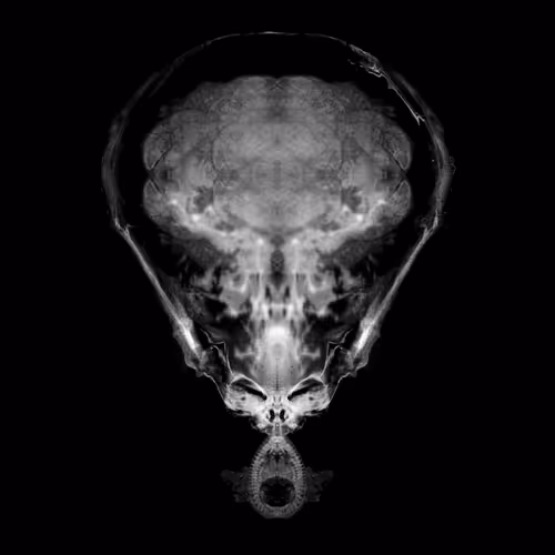 Item #85859191866638808365331437874953228966785819470149775310971061706806924410881 Media