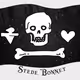Gentleman Pirate: Stede Bonnet