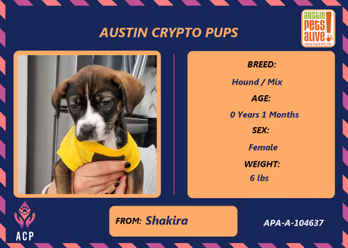 Item #17951378556605612276483806045649535824451571419947225201384628545836361449473 Media