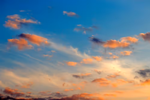 Item #96892970911640542360215547436936791885595020321117917613755897586460175368193 Media