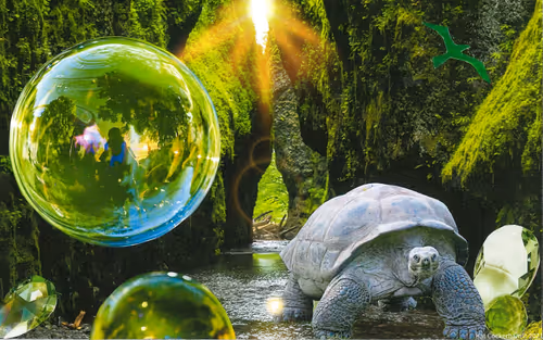 Item #49174666910166564779922856925235532419926271386136280699772621404967266156545 Media