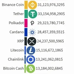 Febuary 2021 Crypto History #39