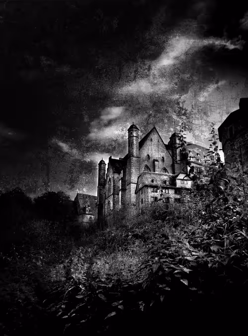 Item #40160686583094733528677484039903516258611509642019211679321071500151142481921 Media