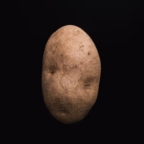 071 Spudshot: Spud Dog