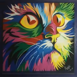 😸🐈‍⬛
