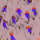 64057153152455554546790371077599716171192802540748781494298405435216851107841