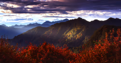 Item #94729080485503513708329965317332491879903775520225674536844109463221094580225 Media