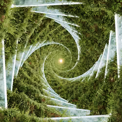 FIBONACCI DAY