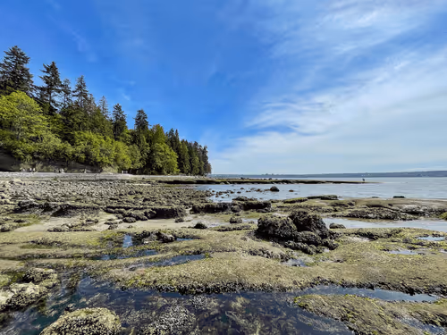 Item #60286361363657250857601775030637471218171117852543341295073304038240264650753 Media