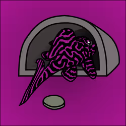 81664083123670143983968740139941474364733981378414170565535211151897646858241