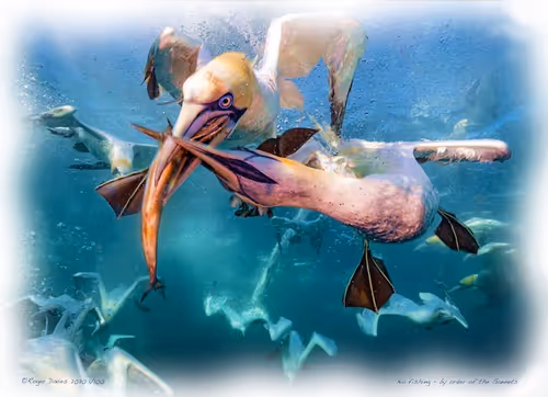 Item #6968899724388266606176016145545160509277227480062482001621938555622780829796 Media