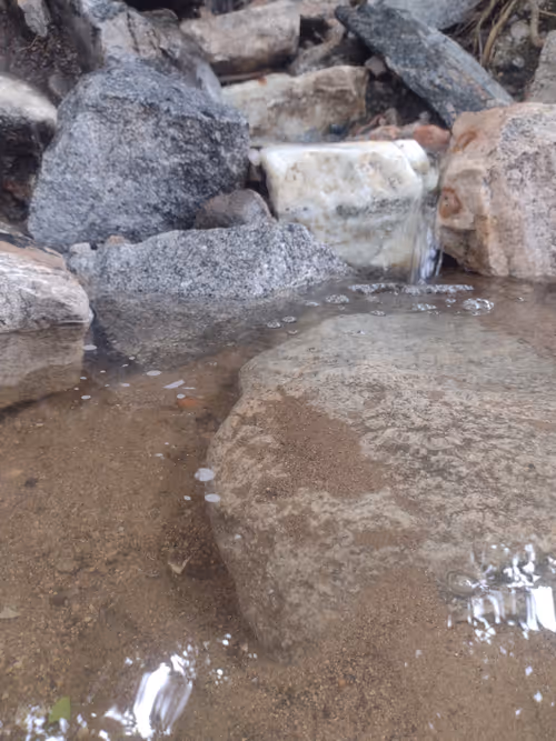 Item #91976069635928437123031191877950598146866165630625287958360390699087854305283 Media