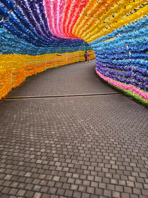 Item #83958100256980711035398363150481960541013843163520717239348696168318493523969 Media