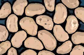 Item #34666895870601966959428909364201480816502352968282215999761892535435230445569 Media