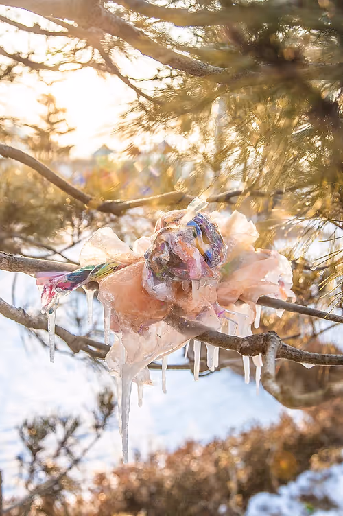 Item #56287295829887504958862107058149038286908875218999637654997635487445190443009 Media