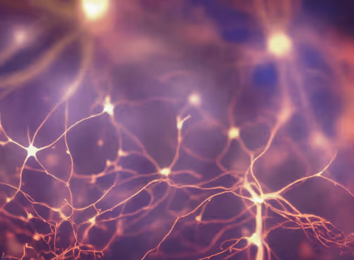 Item #98695163844141812296559601516468632585703412525772017875852753185696089374721 Media