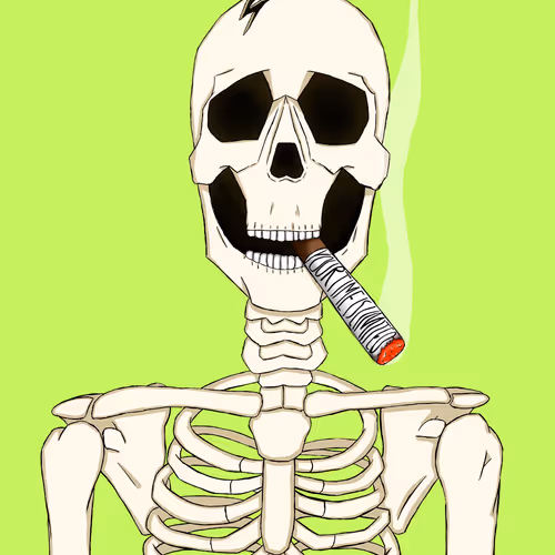 Skull Skeleton 1