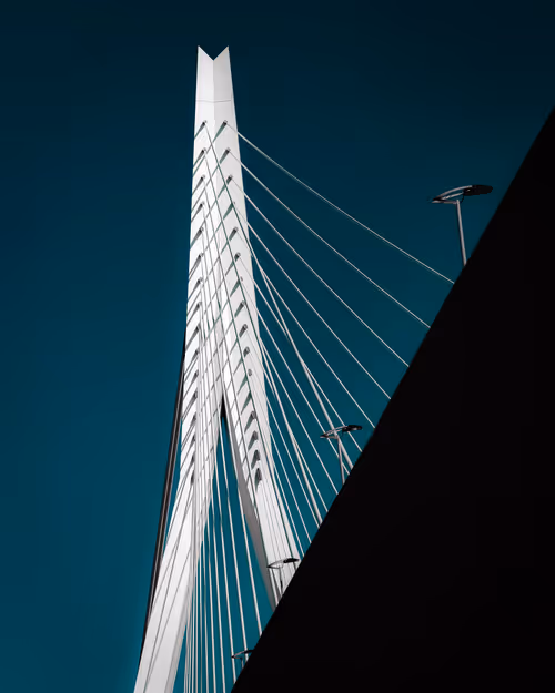 Item #3461261320663593426900354360876375017663922749216533272399435630133423112193 Media