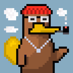 Platy Punk #1549