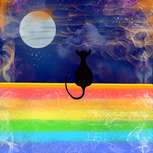 Moony Pet