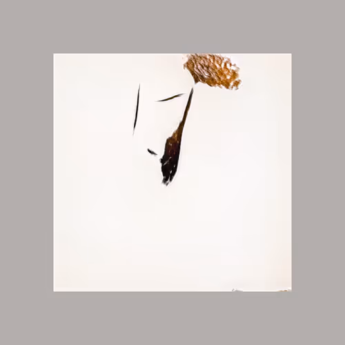 Item #5226173567243613710685186182573715388889274590770803527898219852590720483329 Media