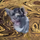 53180631642456764738139299674940583640479914081960747744151189772873215508481