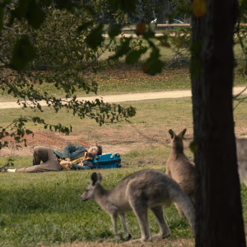 84033976865628774568332332879235367241778469336061738000883788002263532830721