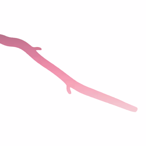 17755440104982517953853418754656261360363945618725315047813017601149188964353